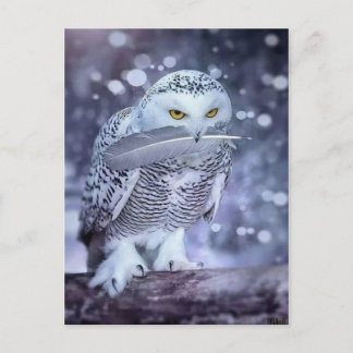 Carte Postale Hibou des neiges