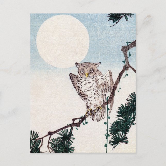 Carte Postale Hibou japonais n°2 (Devant)