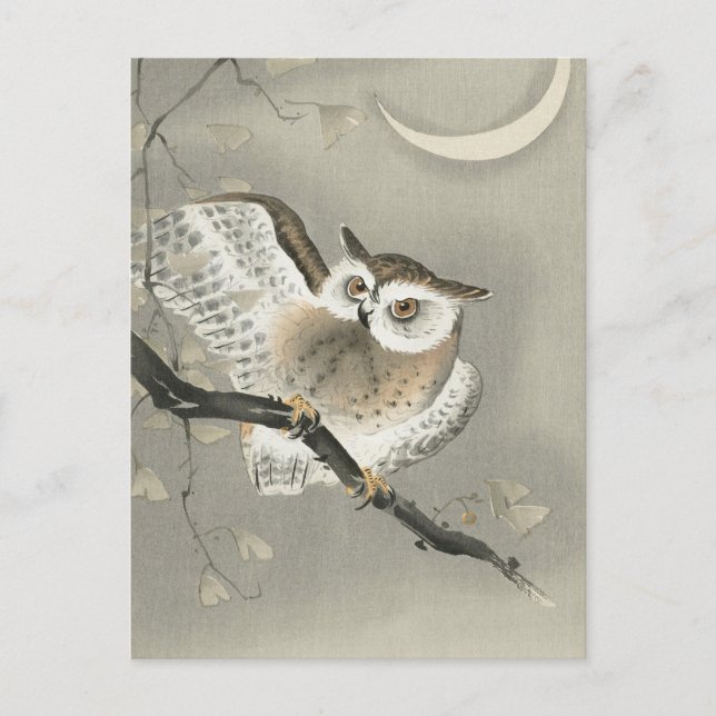 Carte Postale Hibou moyen-duc dans un ginkgo -Ohara Koson -Art V (Devant)