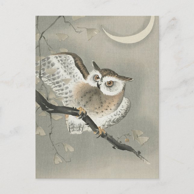 Carte Postale Hibou moyen-duc dans un tableau de Ginkgo par Ohar (Devant)