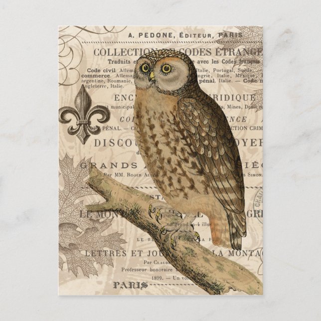 Carte Postale hibou vintage (Devant)
