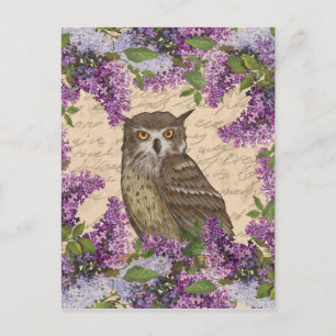 Carte Postale hibou vintage et lilas