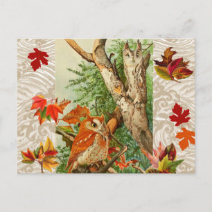 CARTE POSTALE HIBOUX PARMI LES FEUILLES MORTES EN FORÊT
