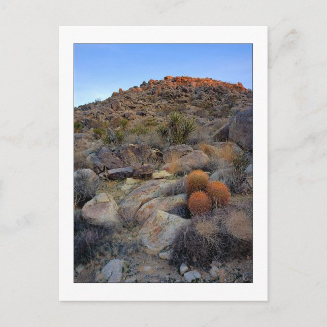 Carte Postale "High Desert Garden" (Devant)
