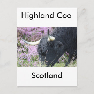 Carte Postale Highland Co