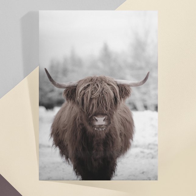 Carte Postale Highland Cow Scotland Russe Farm (Créateur téléchargé)