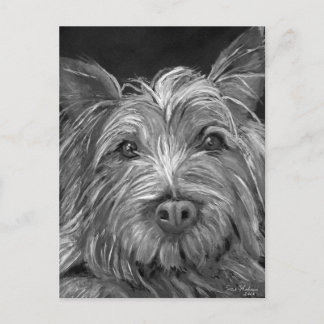 Carte postale Highland Terrier