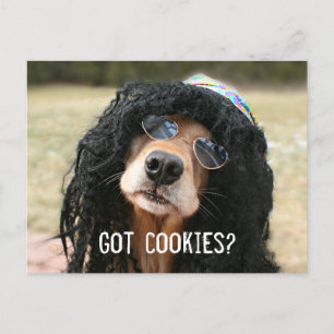 Carte Postale Hippie Golden Retriever "Avez-vous des cookies ?"