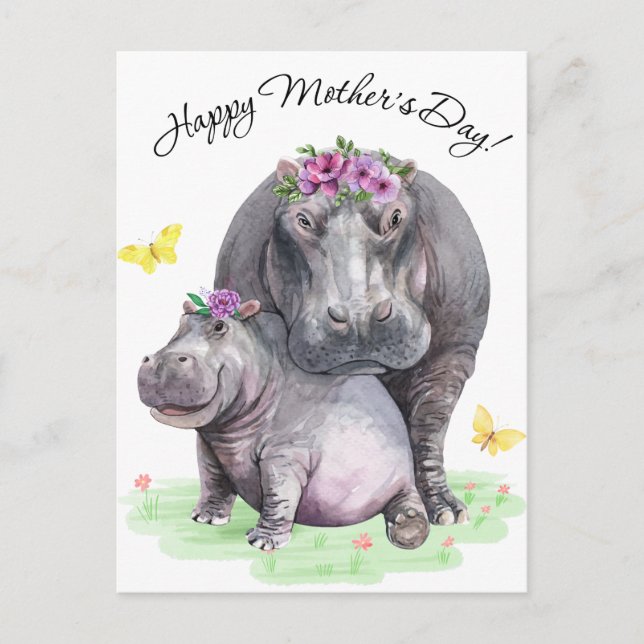 Carte Postale Hippo (Devant)