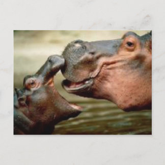 CARTE POSTALE HIPPO