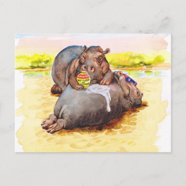 Carte Postale Hippo au soleil (Devant)