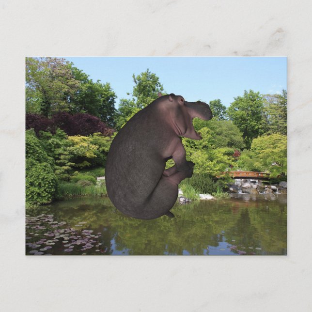 Carte Postale Hippo de canonball (Devant)