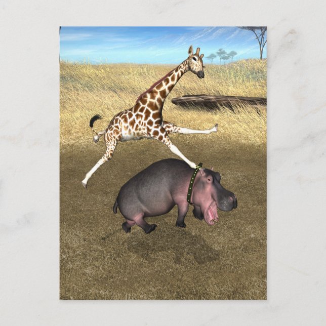 Carte Postale Hippo rodéo (Devant)