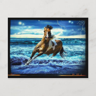 Carte Postale Hippocampe