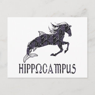 Carte Postale Hippocampus