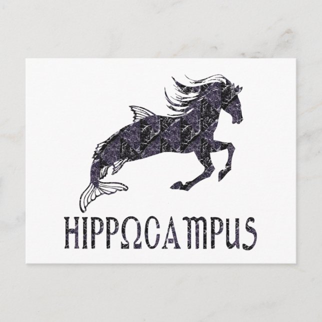 Carte Postale Hippocampus (Devant)