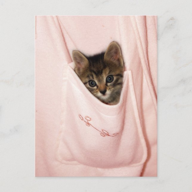 Carte Postale Hippodrome (Devant)