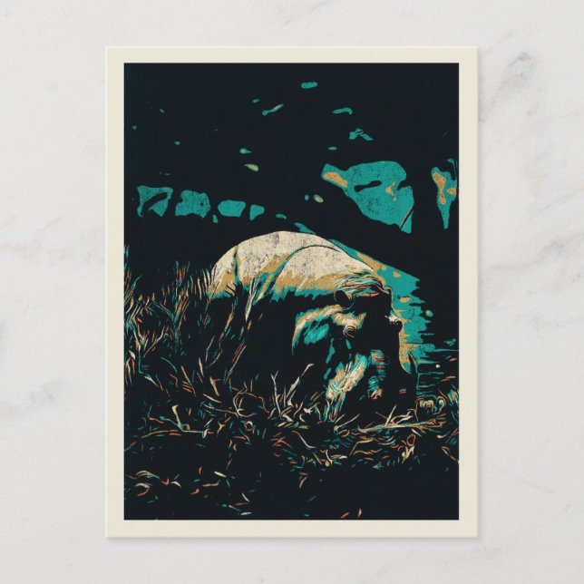 Carte Postale hippopotame près d'une rivière, hippo (Devant)