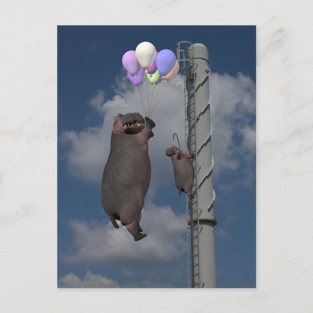 Carte Postale Hippopotame volant (Devant)