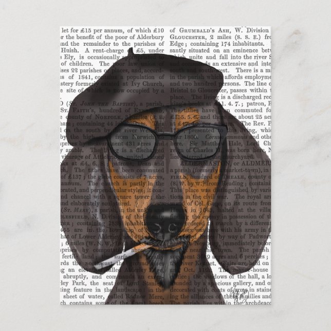 Carte Postale Hipster Dachshund Noir et Tan (Devant)