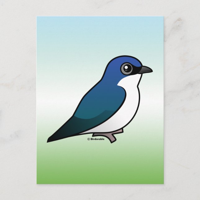 Carte Postale Hirondelle (Devant)