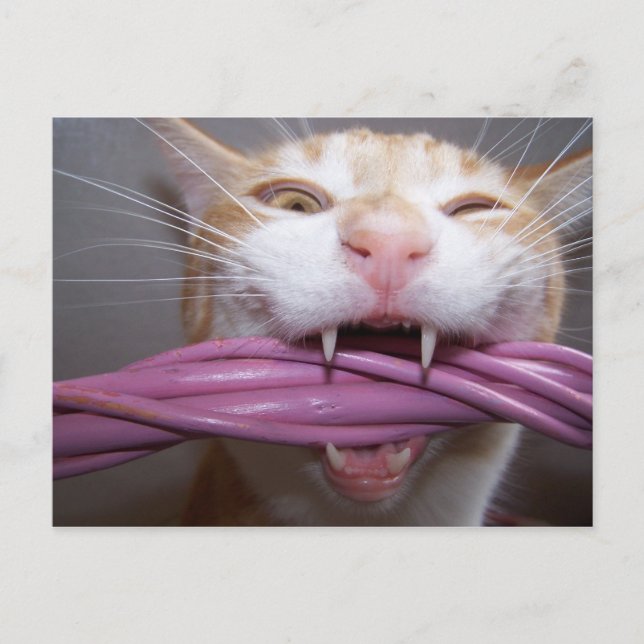 Carte Postale Hissé (Devant)