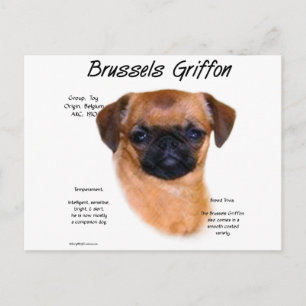 Carte Postale Histoire du Griffon bruxellois à poil lisse