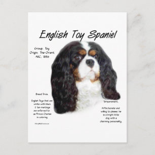 Carte Postale Histoire du Spaniel Toy Anglais Prince Charles
