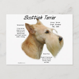 Carte Postale Histoire écossaise à Wheaten