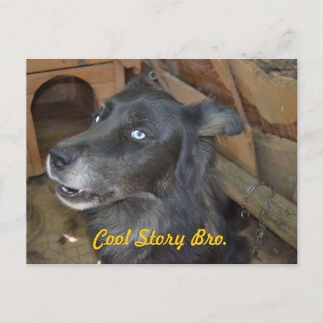 Carte Postale Histoire fraîche Bro (Devant)