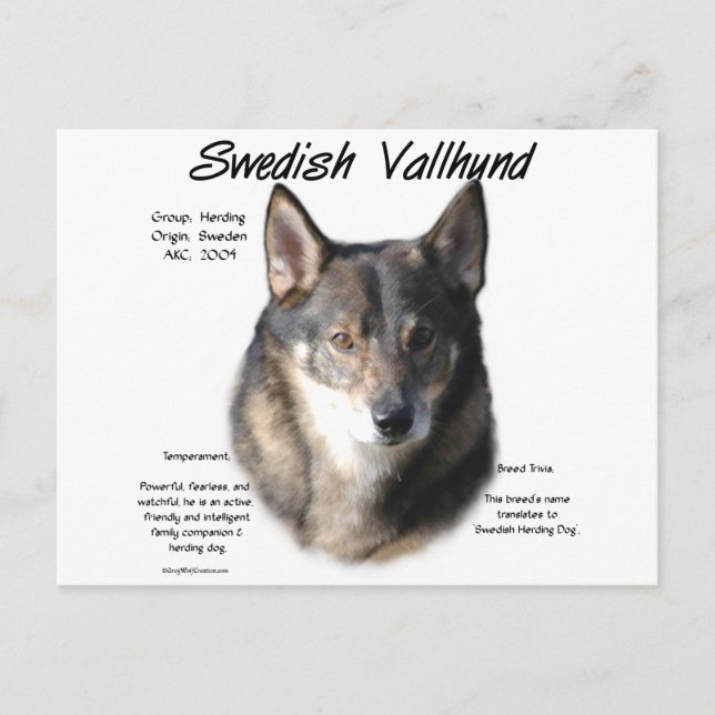 Carte Postale Histoire suédoise de Vallhund (Devant)