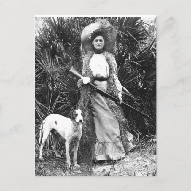 Carte postale historique de la Floride (Devant)