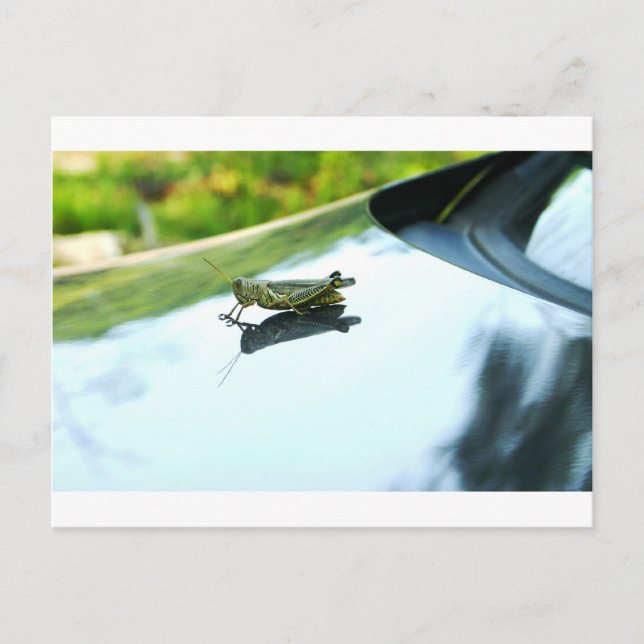Carte Postale hitch randonnée (Devant)
