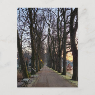 Carte Postale Hiver