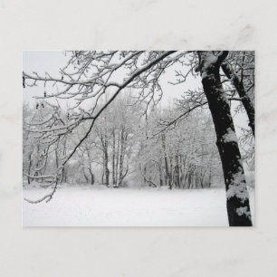 Carte Postale hiver