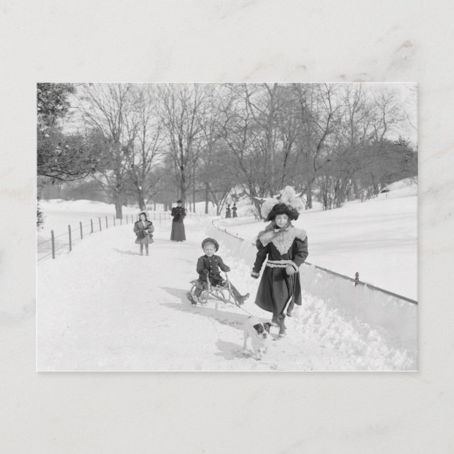 Carte Postale Hiver à Central Park, 1900 (Devant)
