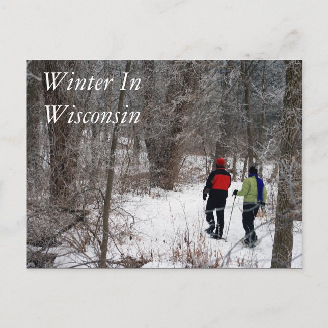Carte Postale Hiver Au Wisconsin (Devant)