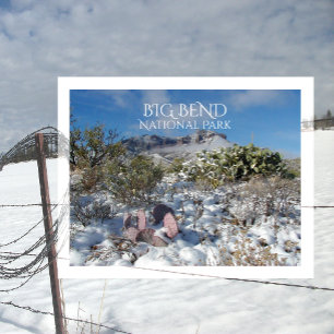 Carte Postale Hiver, Chisos Mountains, Parc National Big Bend