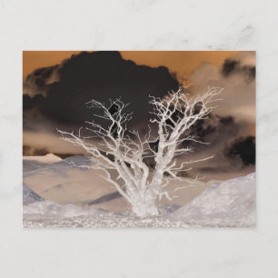 CARTE POSTALE HIVER DE LA MONTAGNE