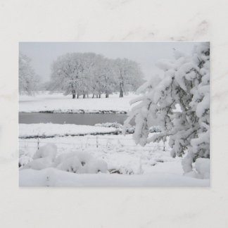 Carte Postale Hiver est du Texas, 2009