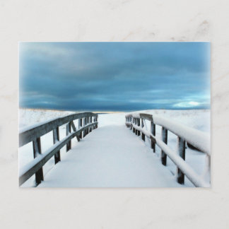 Carte Postale Hiver tropical