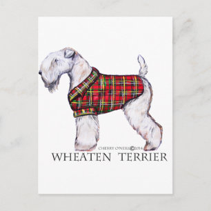 Carte Postale Hiver Wheaten Terrier