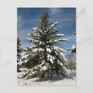 Carte Postale Hivers à venir