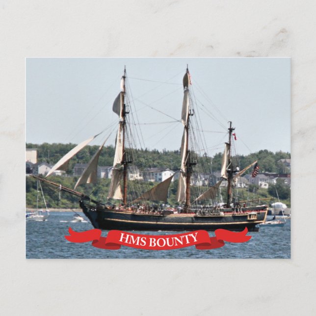 Carte Postale HMS Bounty Tall Ship (Devant)