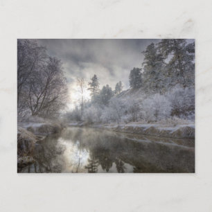 Carte Postale Hoarfrost le long d'une pente à l'île Kelly