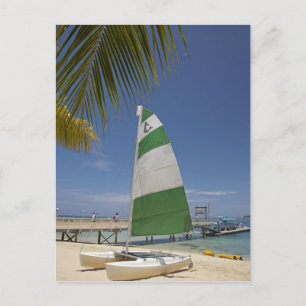 Carte Postale Hobie Cat, Plantation Island Resort