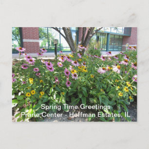 Carte Postale Hoffman Estates, Illinois Prarie Centre Salutation