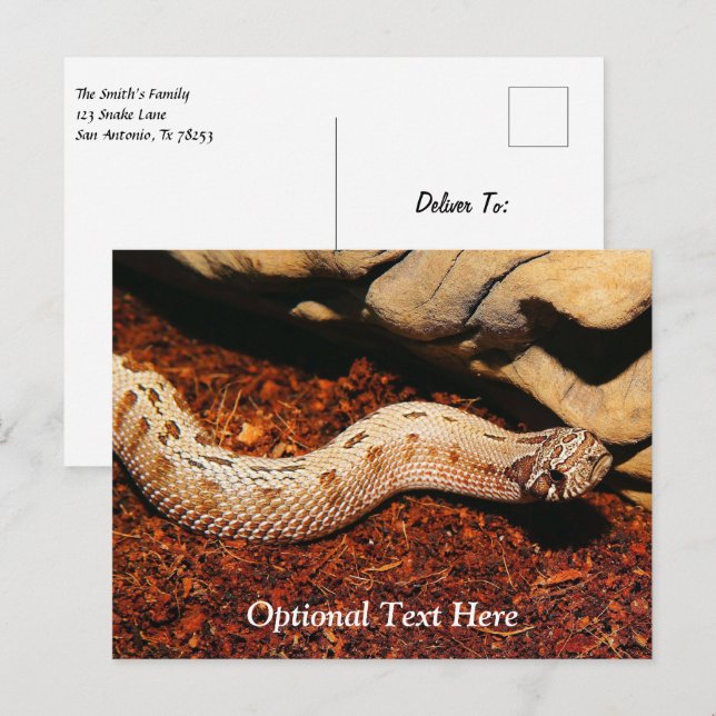 Carte Postale Hognose Pet Snack (Devant / Derrière)