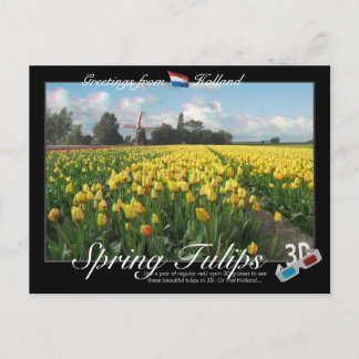 Carte Postale Holland Spring Tulips Paysage 3D Anaglyph