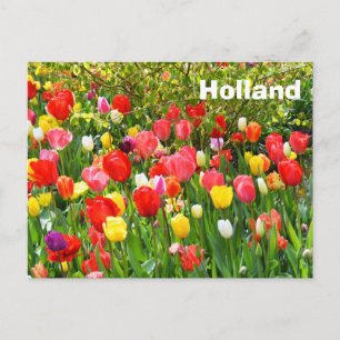 Carte Postale Hollande